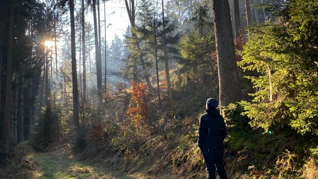 Regental Rundwanderung mit Gasthaus Einkehr und Waldbach Eisbad