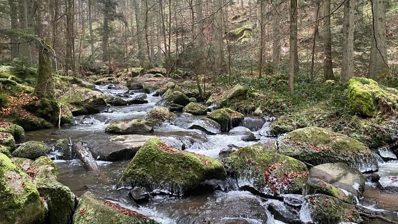 Rundwanderung im Otterbachtal mit Einkehr und Eisbad