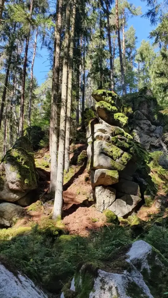 Rundwanderweg Otterbachtal - Steingesichter